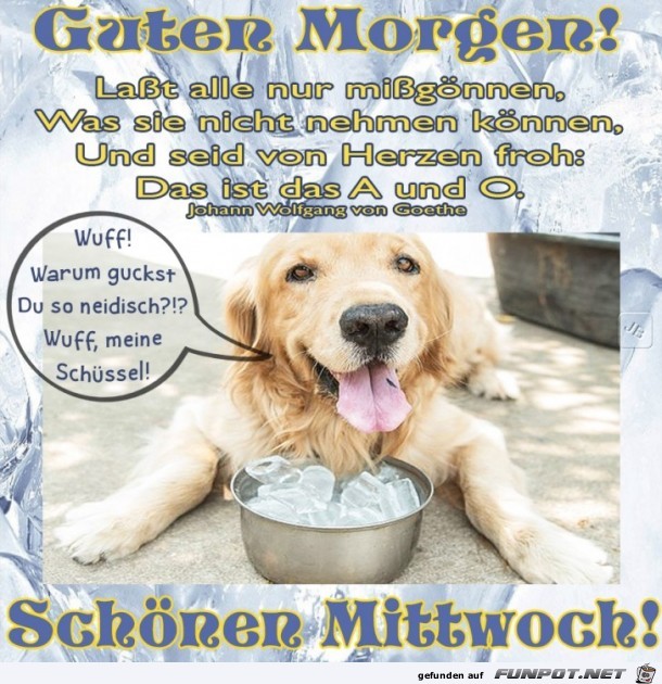 Mittwoch Mittwoch