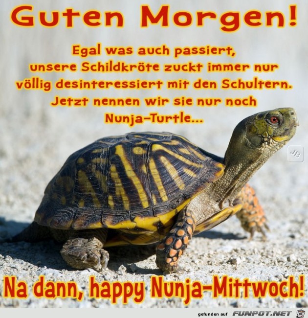 Mittwoch Mittwoch