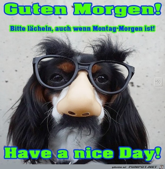 Montag Montag