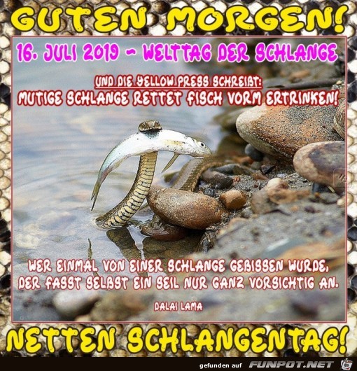 Schlangentag Schlangentag