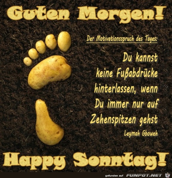 Sonntag Sonntag