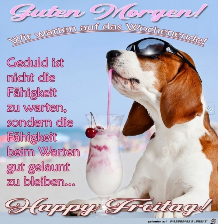 Freitag Freitag