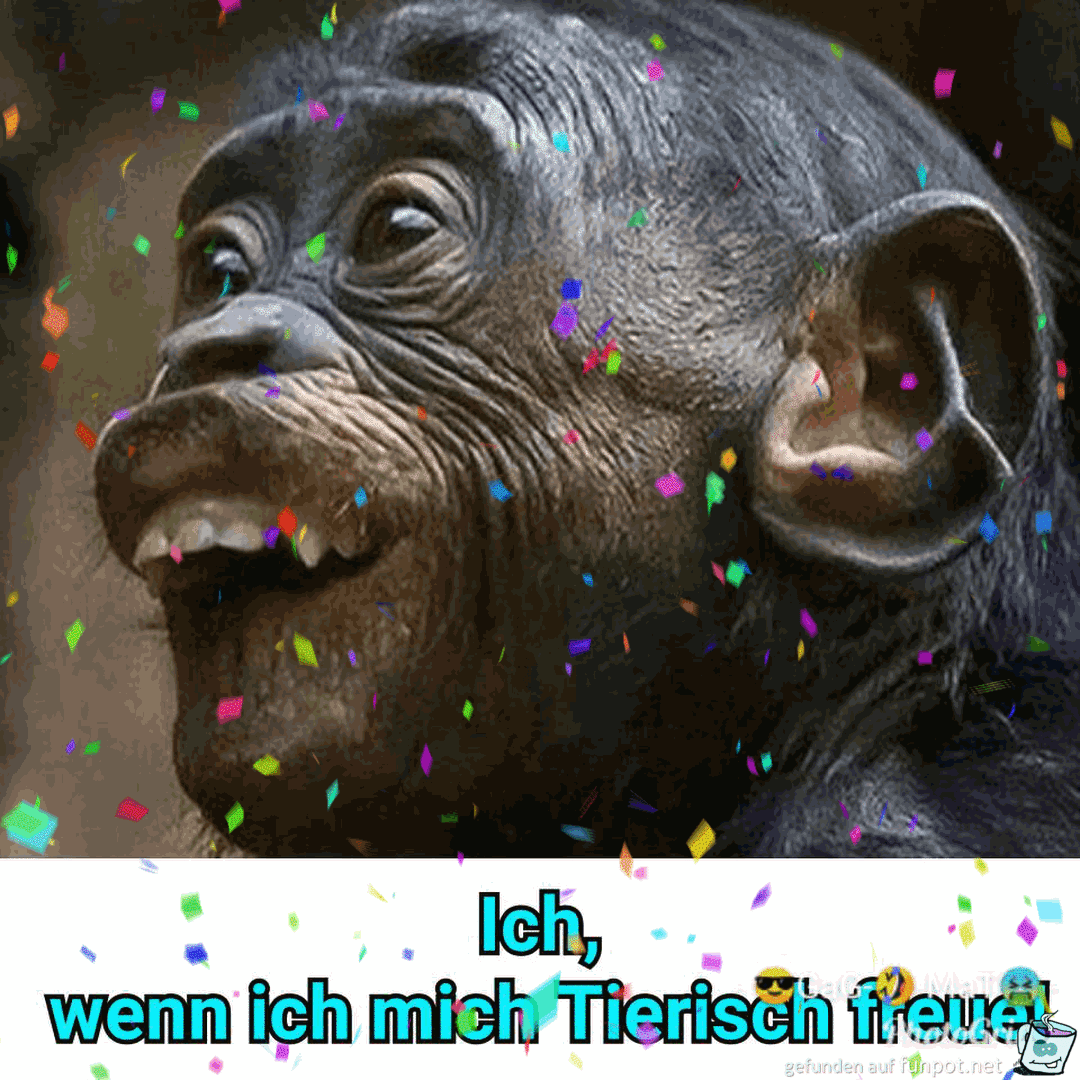Tierisch Tierisch