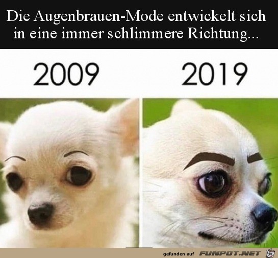 Augenbrauen-Mode