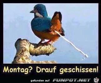 Montag