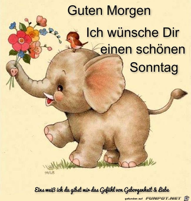 Schoenen Sonntag Schoenen Sonntag