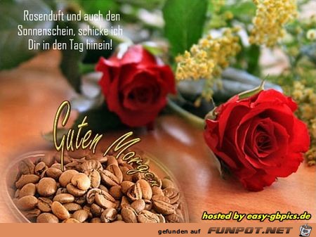 Guten Morgen - Guten Morgen -