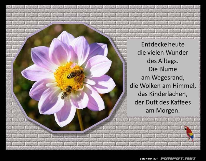 Entdecke heute die Wunder Entdecke heute die Wunder