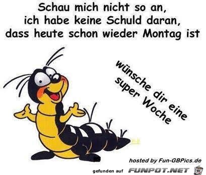 Schau mich nicht so an Schau mich nicht so an