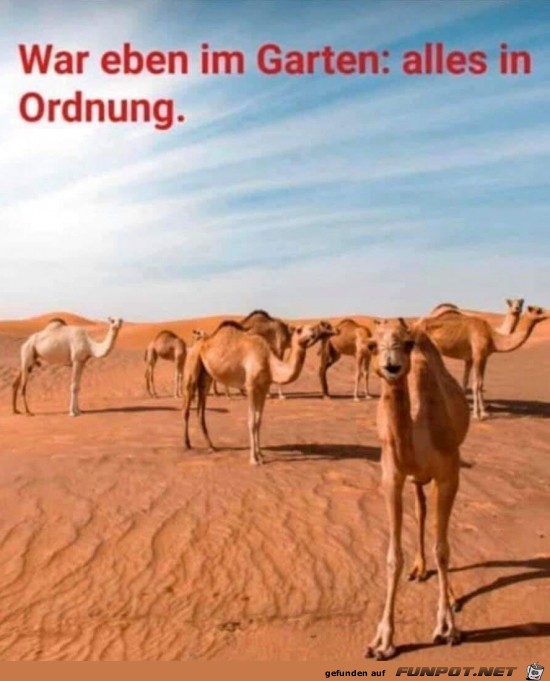 Alles in Ordnung