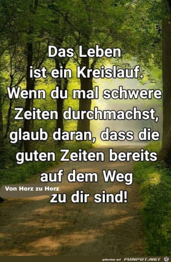 das leben ist ein Kreislauf