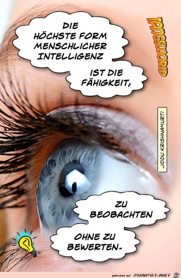 die höchste Form die höchste Form