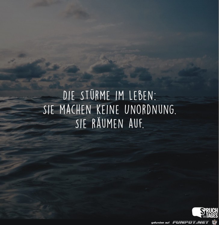 die-stuerme-im-leben-sie-machen-keine-unordnung-sie-raeumen- die-stuerme-im-leben-sie-machen-keine-unordnung-sie-raeumen-