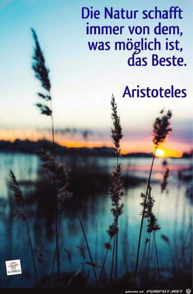 die Natur schafft die Natur schafft