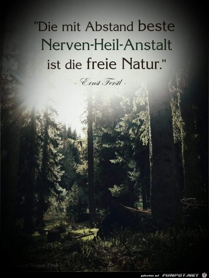 die mit Abstand die mit Abstand
