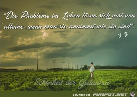 die Probleme im Leben die Probleme im Leben