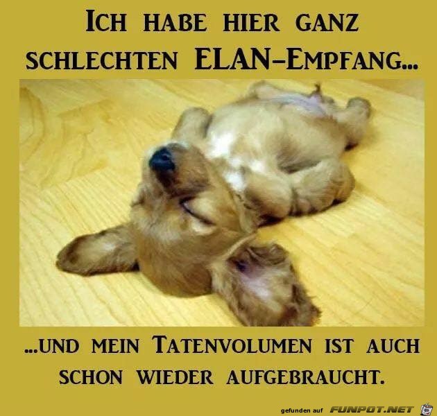 Schlechter Elan-Empfang Schlechter Elan-Empfang