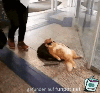 Das dauert wieder Das dauert wieder