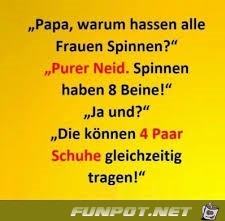 Spinnen