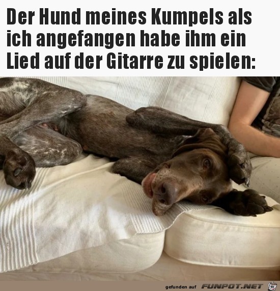 Meine Ohren Meine Ohren