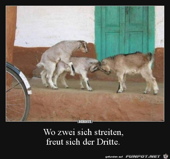 Das kommt hin Das kommt hin