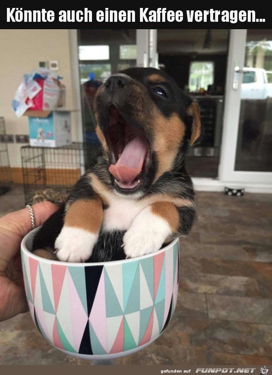 Ich brauche Kaffee Ich brauche Kaffee