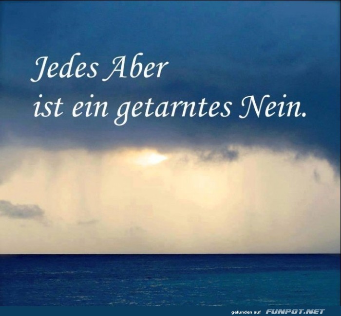 10 sch�ne Spr�che und Lebensweisheiten aus...