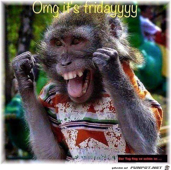 Fredayyy Fredayyy