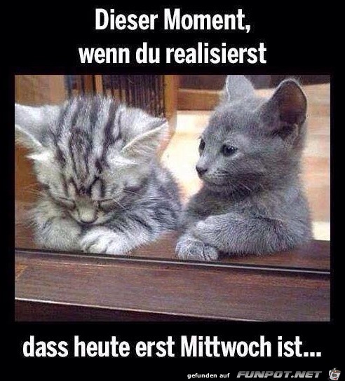 Mittwoch