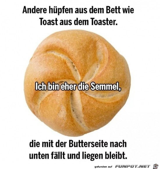 Die Semmel Die Semmel