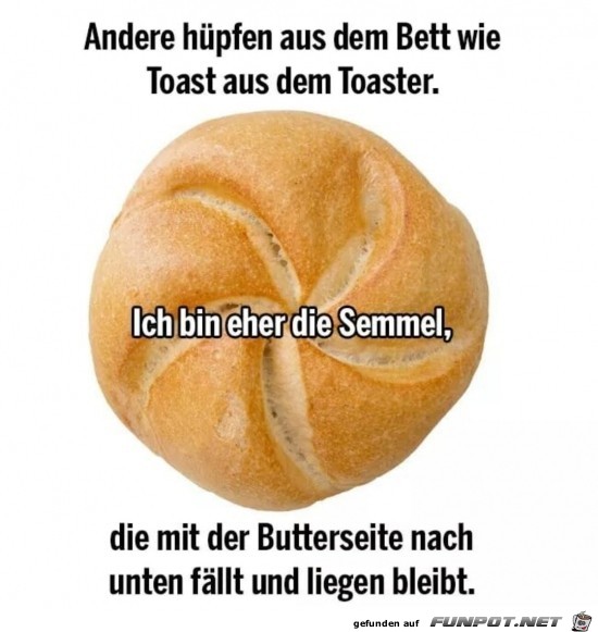 Die Semmel