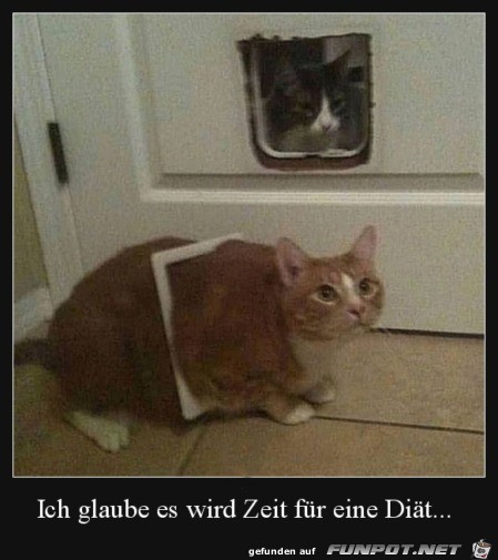 Zeit für eine Diät Zeit für eine Diät