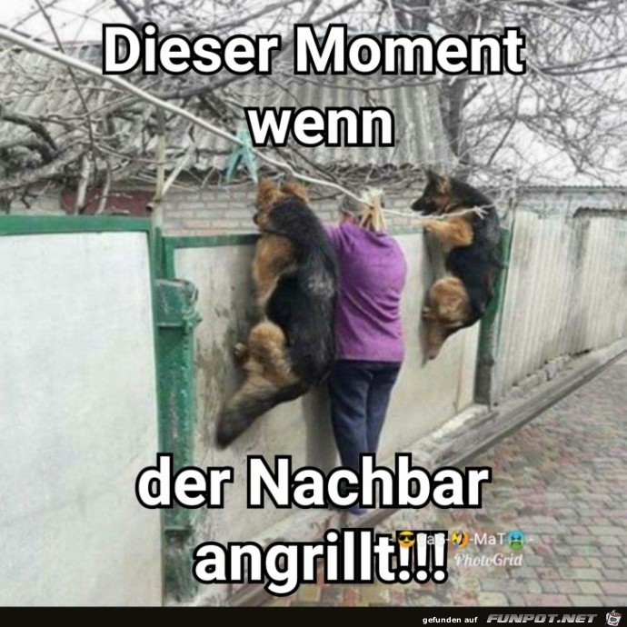 Angrillen Angrillen