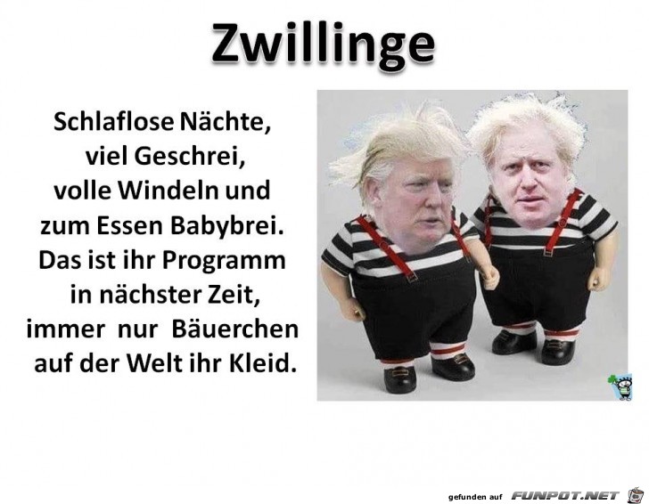 Zwillinge