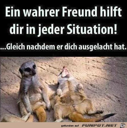 Ein Freund Ein Freund