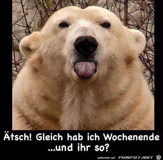 Ätsch Ätsch