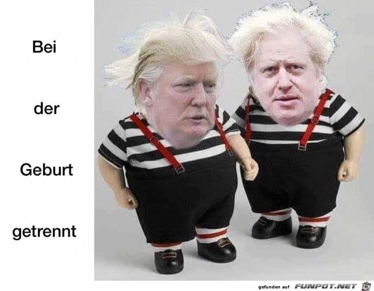 Zwillinge Zwillinge
