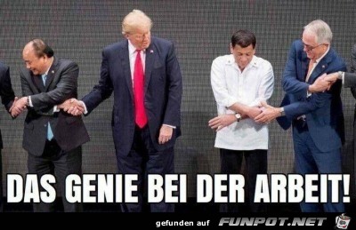 Das Genie Das Genie