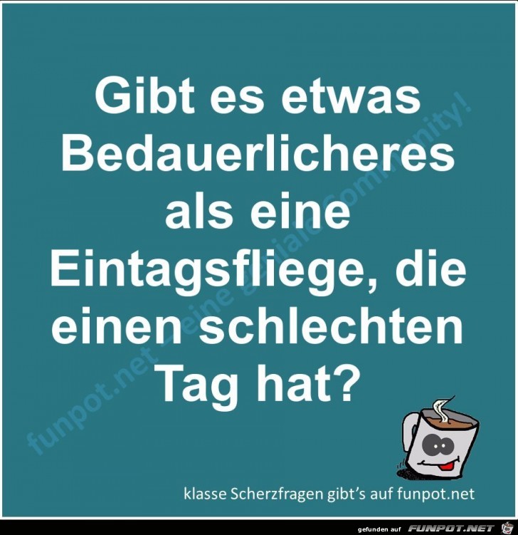 Scherzfrage Scherzfrage