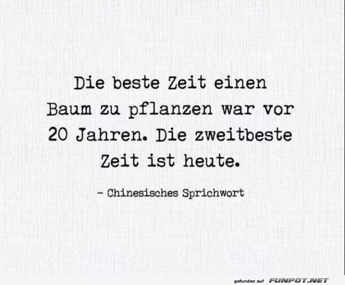 10 sch�ne Spr�che und Lebensweisheiten aus...