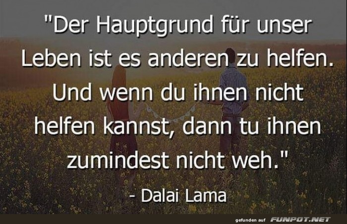 10 sch�ne Spr�che und Lebensweisheiten aus...