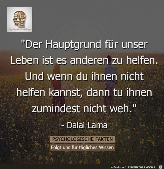 Der Hauptgrund Der Hauptgrund
