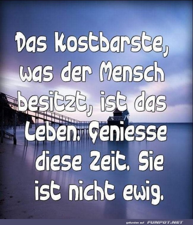 10 sch�ne Spr�che und Lebensweisheiten aus...