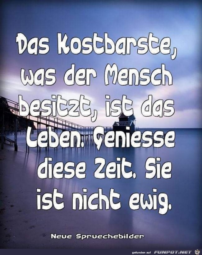 Geniese die Zeit