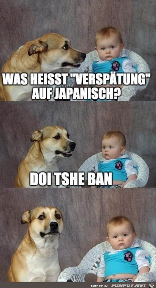 Jetzt weit du es