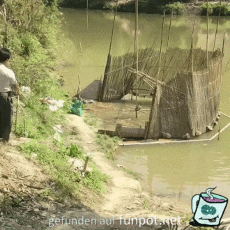 Fische fangen Fische fangen