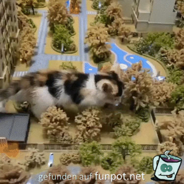 Katze luft ber Miniaturstadt