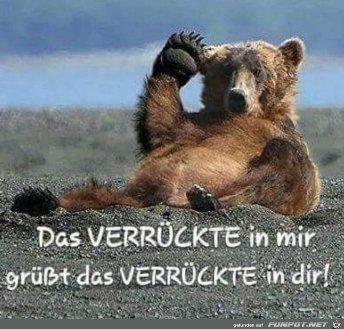 Verrückte Verrückte
