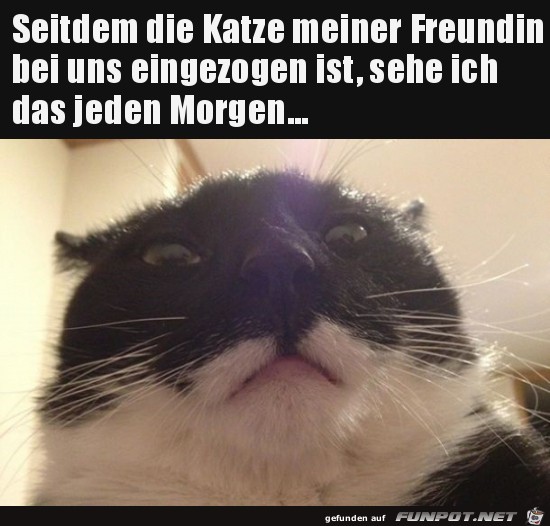 Klasse Blick