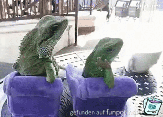 Gechillt Gechillt